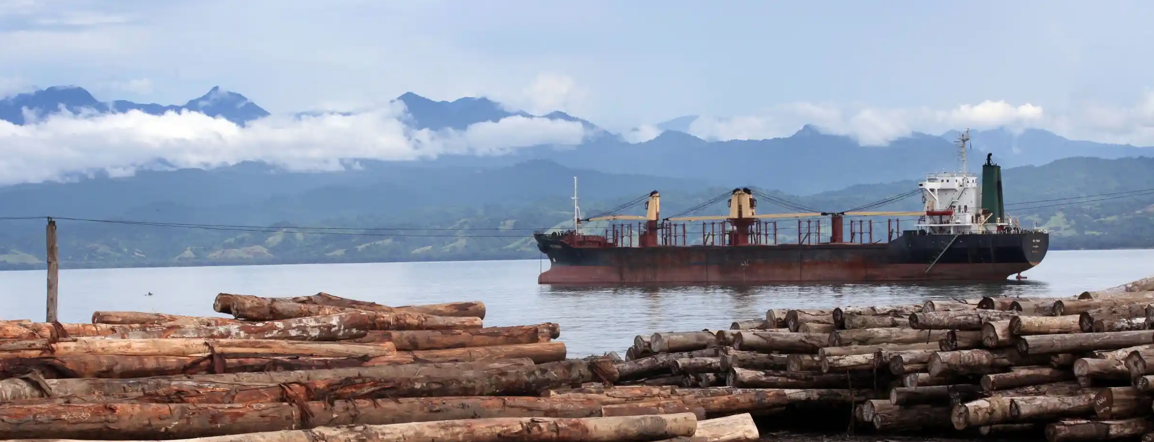 More logging industry abuses exposed, this time in New Ireland PNGi